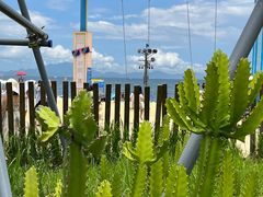 -大梅沙海滨公园