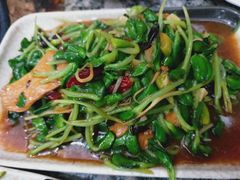 鸡肉炒豆苗-天发长铁锅炖(王秀村店)