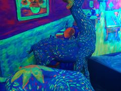 -天津梵高星空艺术馆(天河城旗舰店)