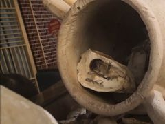 -四道菜·福建菜馆(莆田万达店)