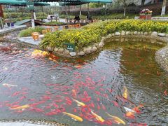 -成飞公园