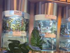 -老船舫·现做活鲜鱼馆(东郊记忆店)
