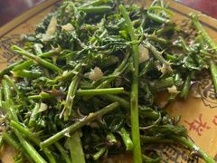 -柘林湖生态鱼馆