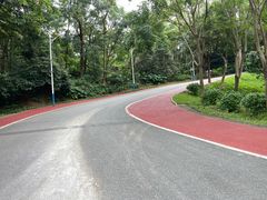 -火炉山森林公园