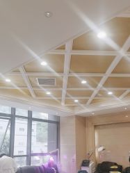 -碧莲盛·不剃发植发