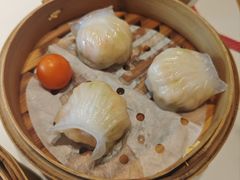 -点都德·毕德寮