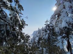 -瓦屋山景区