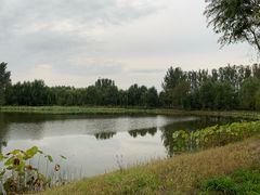 -东郊湿地公园