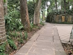 -峨眉山报国寺