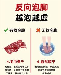 -Fundi张玉珊修身堂·indiba·BTL科技瘦身