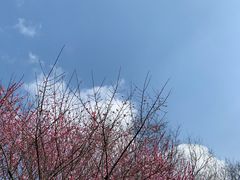-太子山公园(园东路)