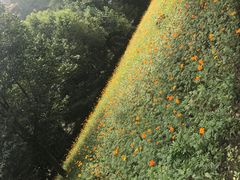 -西湖风景区-江洋畈生态公园