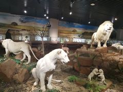 -陕西自然博物馆