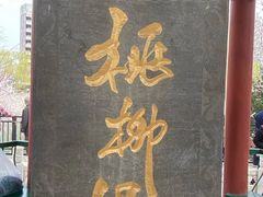 -桃花堤公园