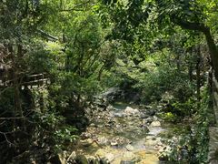 -鼎湖山风景区