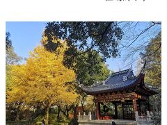 -汇龙潭