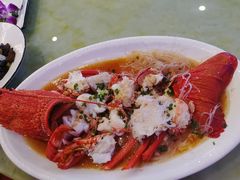 -中国饭店-餐厅