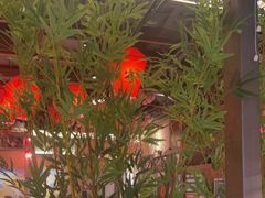 -农耕记·湖南土菜(halo广场店)