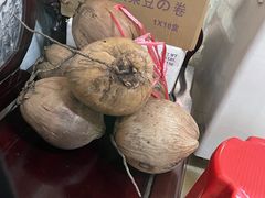椰子-洪馨椰子