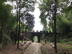 -仙霞关景区