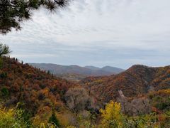 -照金香山旅游景区