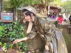 -青城甲(青城山店)