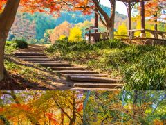 -九曜山