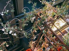 -枚青·临安酒肆(腾飞大厦店)
