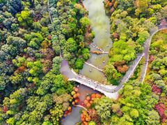 -云溪植物园