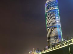 -演武大桥观景平台