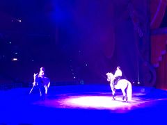 -珠海横琴长隆《卡卡虎奇遇记》