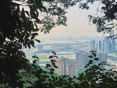 -小南山公园