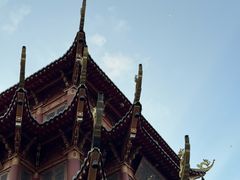 -龙潭水乡