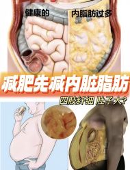 -Fundi张玉珊修身堂·indiba·BTL科技瘦身