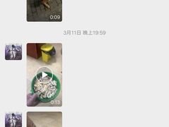 -宠颐生贝利健动物医院(谢家湾分院)