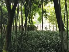 -重庆彩云湖湿地公园