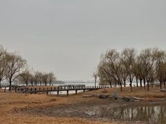 -武清南湖绿博园