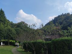 -桃花岭景区
