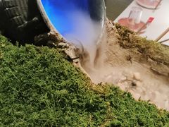 -九鼎轩火锅大排挡