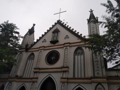 -老字号怡玺·藿香雅鱼(20年雅安店)