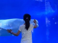 -泉城欧乐堡海洋极地世界