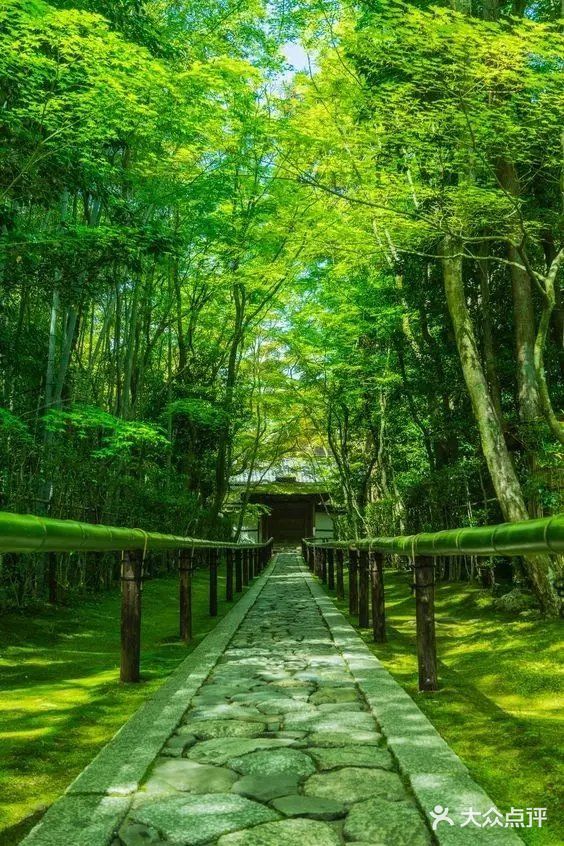 日式禅意庭院 | 走进，找到自己心灵的归宿[糖果]