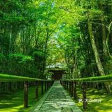 日式禅意庭院 | 走进，找到自己心灵的归宿[糖果]