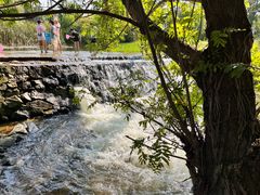 -素山寺森林公园