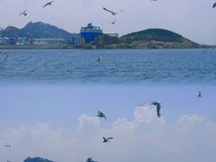 -海驴岛(荣成市)
