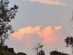 -长虫山生态公园风景林