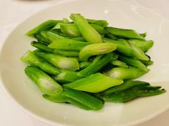 -圆苑(静安寺店)