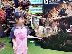 -正佳雨林生态植物园