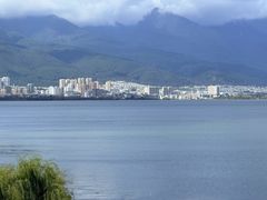 -野菌皇海景野生菌火锅(滨海大道店)