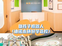 -雄孩子机器人少儿编程STEM教育(迪诺水镇校区)